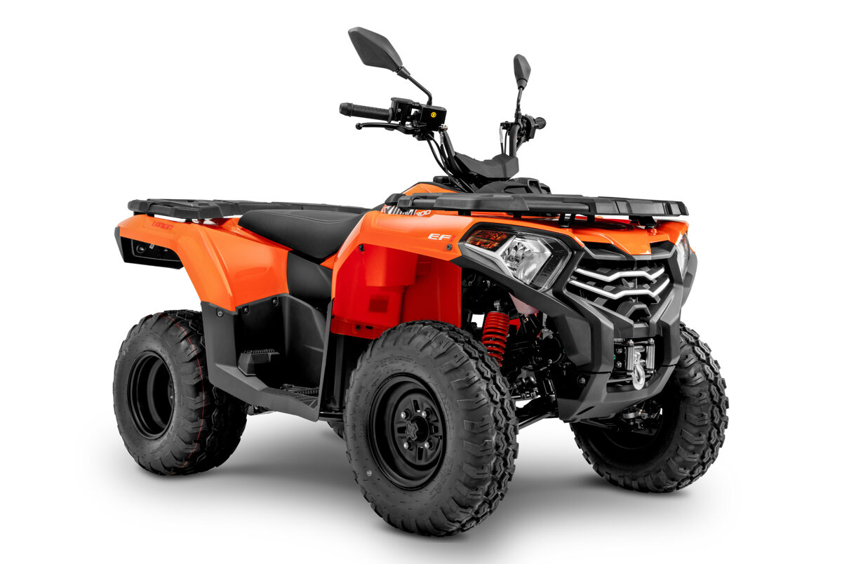 300-oranzinis.jpg